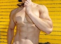 Peter Lee Fever Stripping